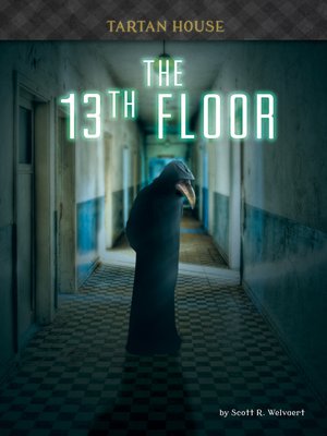 cover image of The 13th Floor